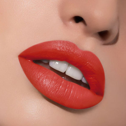 Matte Liquid Lipstick - 10 Rouge